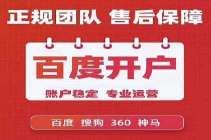 百度SEO推广公司案例分享：行业佼佼者经验